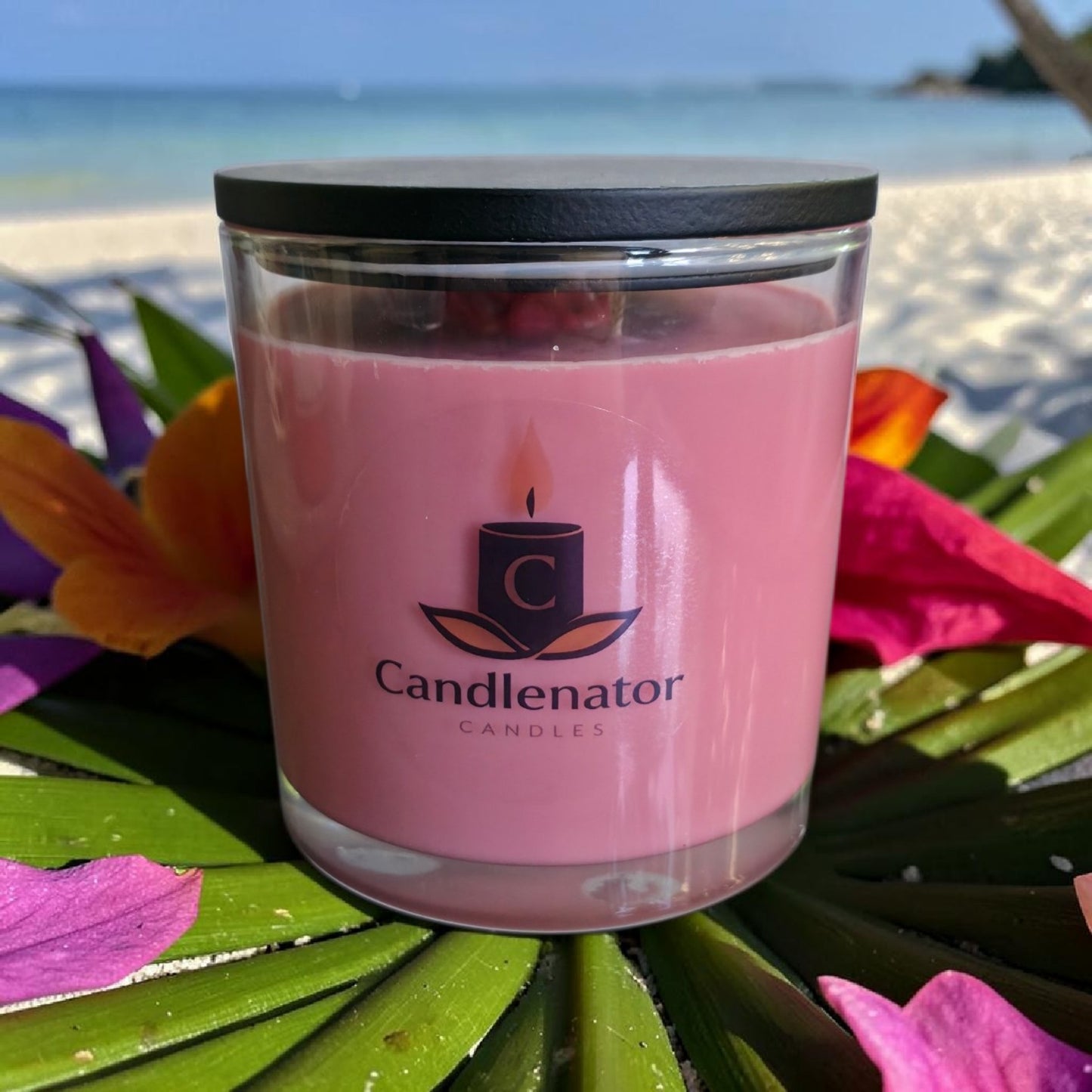Große 3-Docht Sojawachsduftkerze "Solaris" von Candlenator Candles